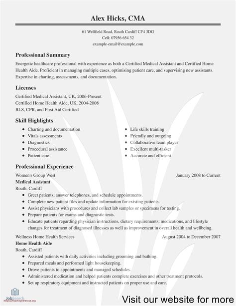 41 Resume Summary Examples 2020 For Your School Lesson