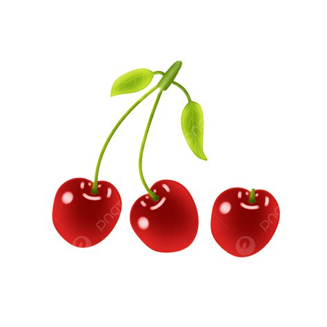 Cherry Png Picture Cherry Fruit Cherry Fruit Fruit Cherry Png Image