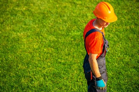 5 Benefits Of Professional Lawn Care Services Scout Network