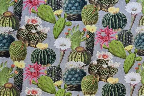 Cactus Digital Print Fabric Printing On Fabric Cactus Digital
