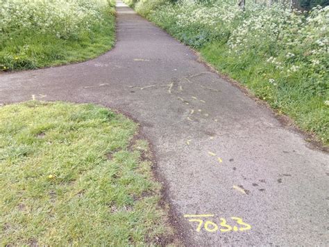 New cycle route in Hatfield town centre, Alban Way tree roots update
