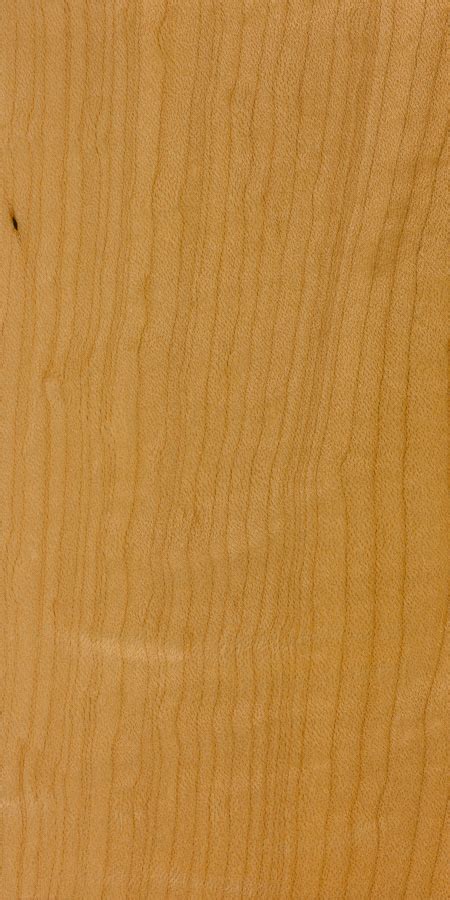 Hard Maple The Wood Database Hardwood