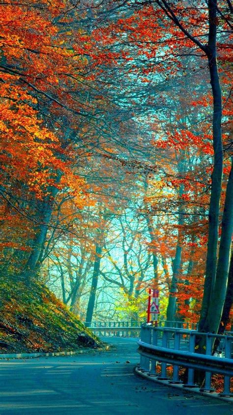 Desktop Hintergrund Herbst Hd ~ Hintergrundbilder Hd
