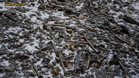 Skeleton Lake Dna Discovery Deepens Mystery Of Human Remains Fox