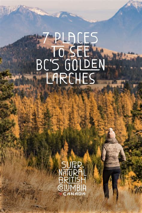 7 Places To See Bcs Golden Larches Canadian Road Trip Travel