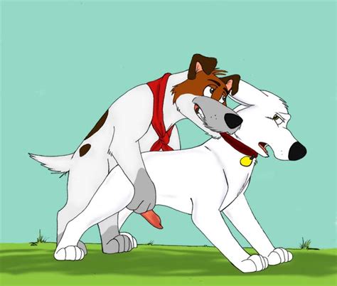 Rule 34 Anal Bolt Canine Disney Dodger Feral Furry Only Gay Knot Male