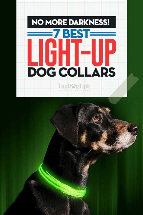 The collar is padded to prevent pain or chafing. Top 7 Best Light Up Dog Collar Choices for Winter Night ...