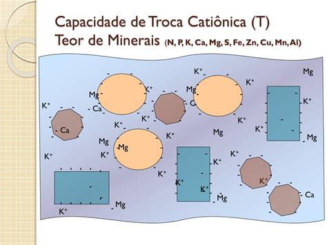 Capacidade De Troca Cationica