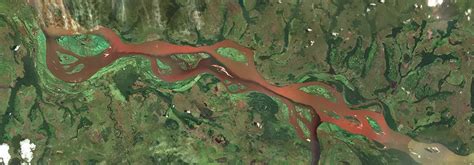 The Congo River