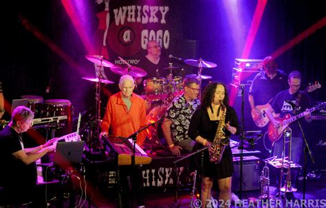 Fast Film: FRANK ZAPPA DAY 2024, and WHISKY A GO GO 1968