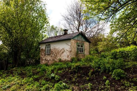Old Abandoned House Among The Thickets Of Greenery Stock Photo Image