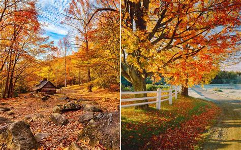 The Only Map You Need To Plan A Perfect Fall Foliage Trip Travel