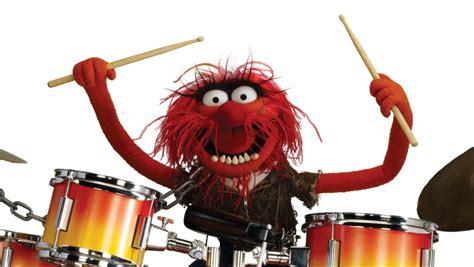 Foo Fighters Dave Grohl Im Muppet Drumbattle Gegen Tier