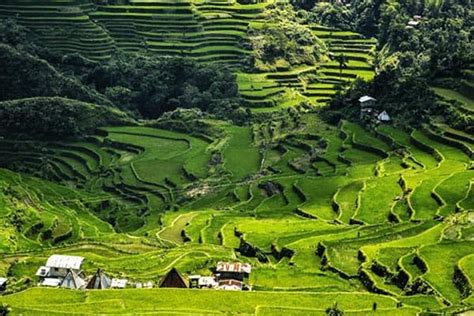 The Philippines Mountain Provinces Gonomad Travel