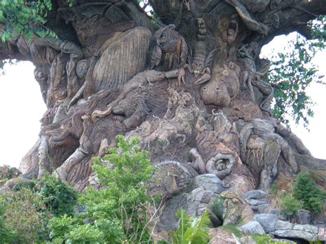 The townspeople begin to bring their sick animals to lori, upset because andrew put his daughter's cat to sleep. 7 Amazing Facts About Animal Kingdom's Tree Of Life