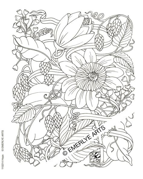 Flower Coloring Pages Advanced Coloring Home