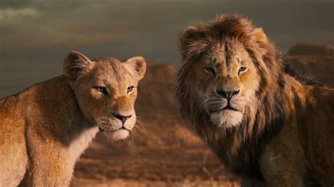 The Lion King 2019 Full Movie Download In Hindi English Dual Audio