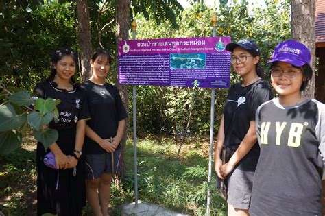 มีมติอนุมัติเงินเยียวยาช่วยเหลือลูกจ้างและผู้ประกอบการ ผู้ประกันตนมาตรา 33, 39, 40 และอาชีพอิสระ ในพื้นที่ 10 จังหวัด ประกอบด้วย. โครงการม 33 : ขายทาวน์เฮ้าส์33ถหทัยราษฎร์ลาดสวายลำลูกกา ...