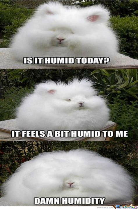 Maybe Shes Born With It Maybe Its Humid By Recyclebin