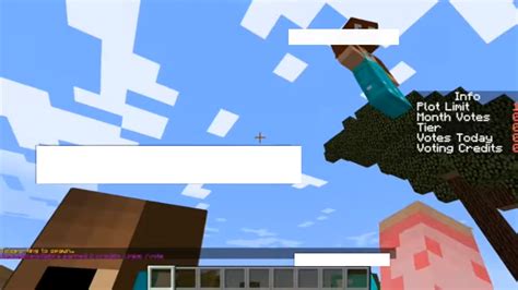 How To Get Unbanned From A Minecraft Server