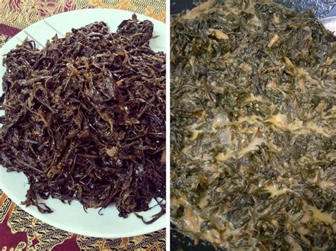 Kalau nenek saya, dia buat rendang ayam cili api + pucuk ubi. Rendang Pucuk Ubi Sedap Nikmati Dengan Nasi Panas