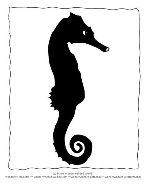 Seahorse Silhouette Silhouettes Templates For Ocean Themed Small Art