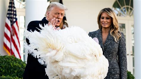 Trump Issues His Final Turkey Pardon - The New York Times