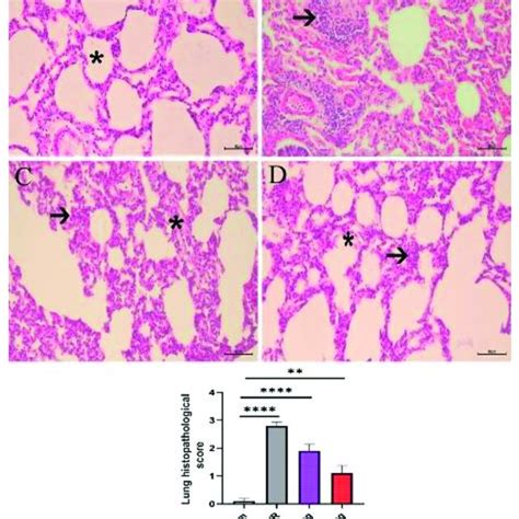 Histopathological Changes And Histopathology Score Of The Lung Tissues