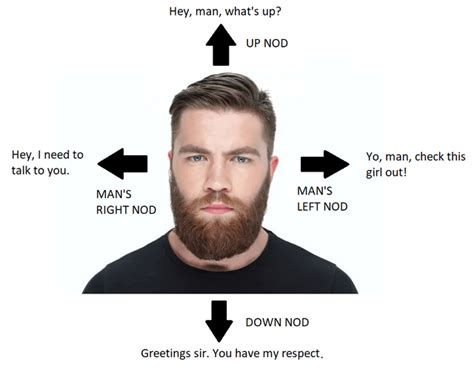 Universal Guide To Mens Nodding Made In Paint Rmemes