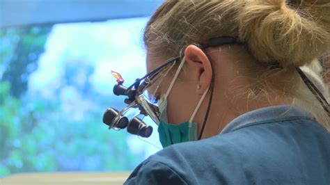 No health insurance at work? Community Health Alliance cuts dental care services for ...