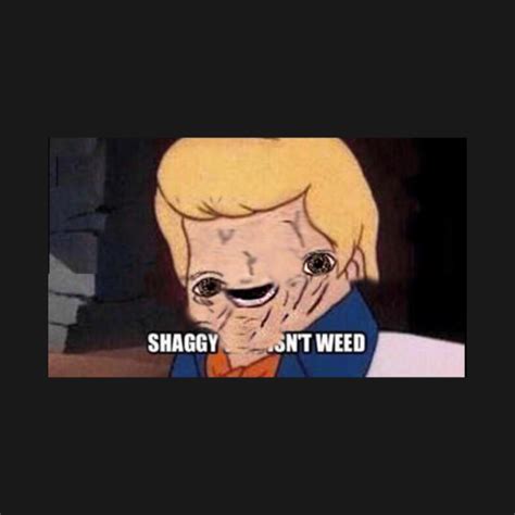 Shaggy This Isn T Weed Memes