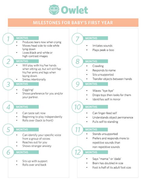 Milestones For Babys First Year Owlet