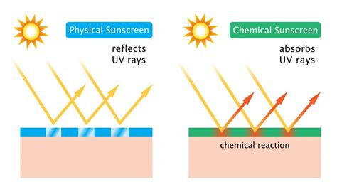 Chemical Vs Physical Sunscreens Midwest Facial Plastic Surgery