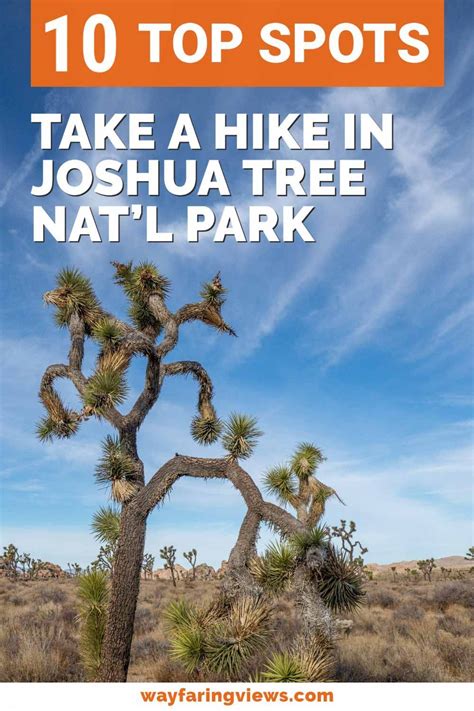 The 13 Best Hikes In Joshua Tree National Park Artofit