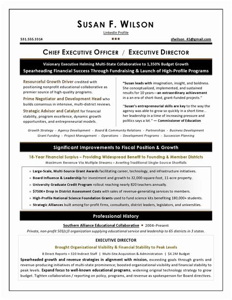 Business Development Executive Resume Fresh Executive Resume Samples By