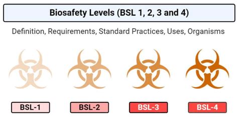 Biosafety Levels Bsl Bsl Bsl And Bsl Microbe Notes