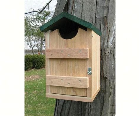 Build a screech birdlife populate vat. Screech Owl House | Owl house, Screech owl, Bird houses