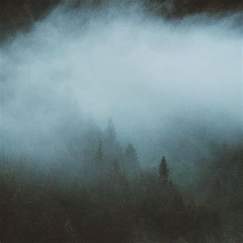 Lost In The Fog Natural Landmarks Nature Instagram