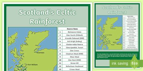 Scotlands Celtic Rainforest Map Cfe Primary Resources