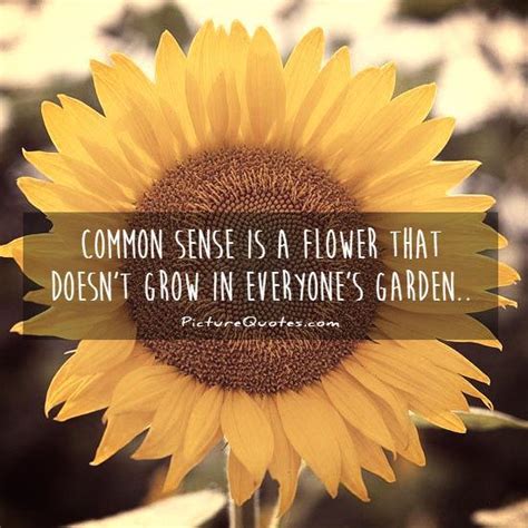 Quotes On Growing A Flower Quotesgram
