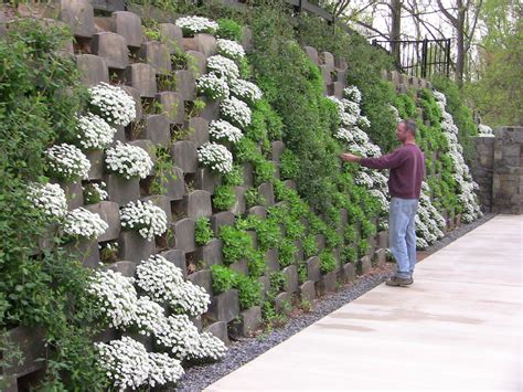 Open Backed Blocks In Action In A Real Living Wall As It