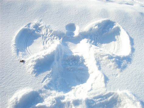 duluth takes aim at bismark s snow angel record