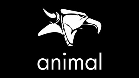 Animal Bmx Youtube