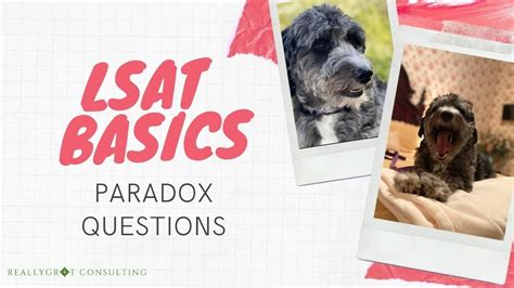 Lsat Basics Paradox Questions Youtube
