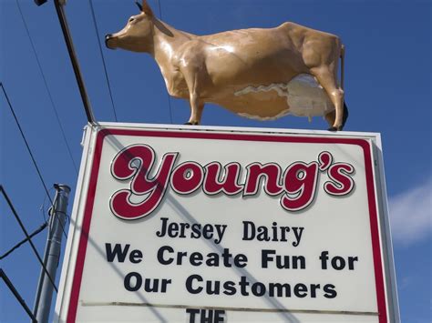 Young's Jersey Dairy | Roadfood
