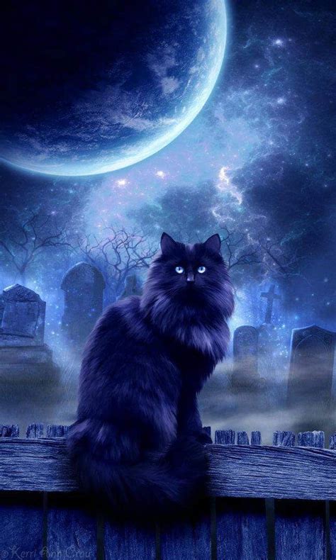 Pin By Mia 🐱 On Gatos Black Cat Art Witches Familiar Cats And Kittens