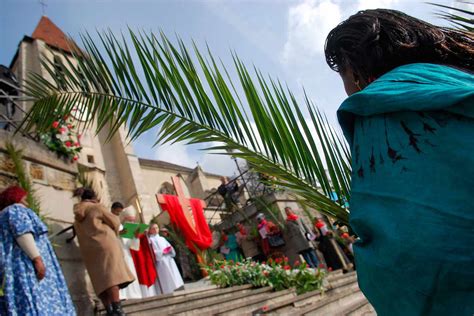 Why Are Palm Branches Used On Palm Sunday