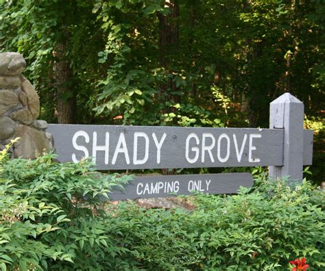 Forsyth Countys Shady Grove Campground On Lake Lanier