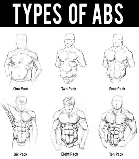 How To Draw Abs Howtota