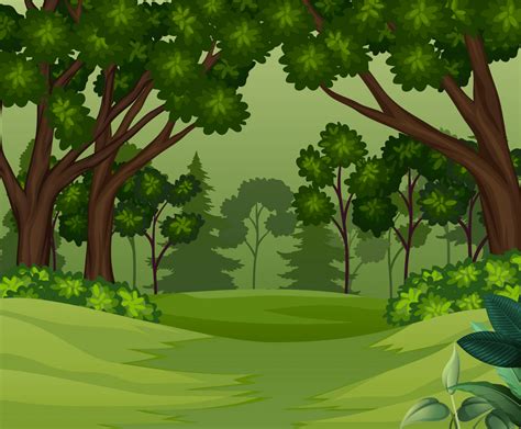 Deep Forest Scene Png Clipart World